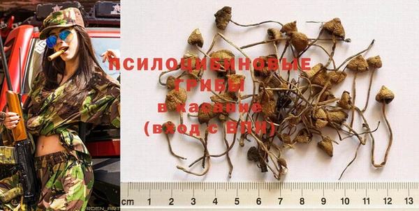 молекула духа Зеленокумск