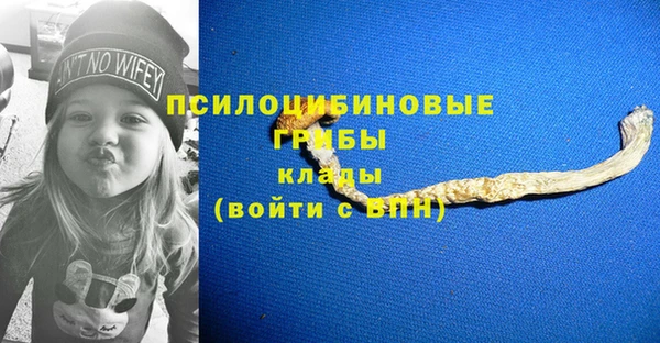 молекула духа Зеленокумск