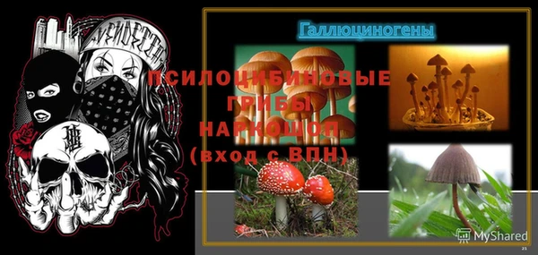 молекула духа Зеленокумск