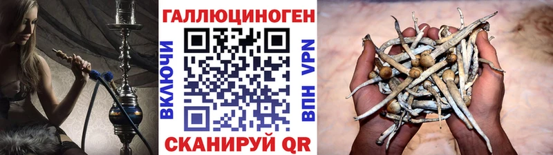 Псилоцибиновые грибы Magic Shrooms  Купить закладки  Чернушка 