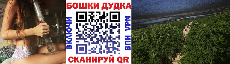 Шишки марихуана Bruce Banner  Купить  Чернушка 